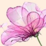 image site soins esthetiques